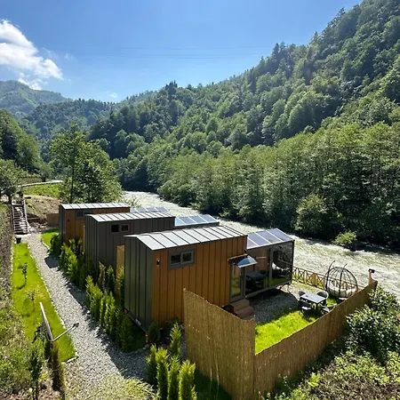 Ria Sueit Rize